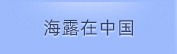 Z6尊龙在中国