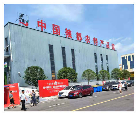 1-1ZR31046491R Z6·尊龙「中国区」官方网站