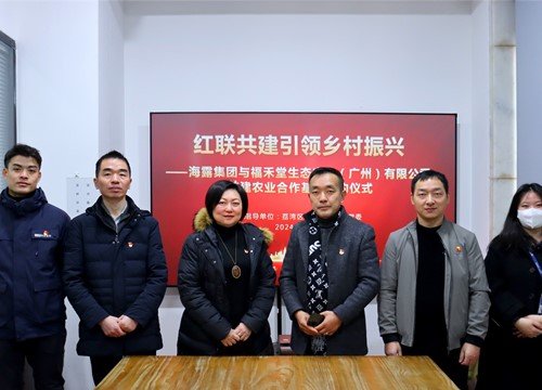 红联共建引领村落振兴，党建促业务深度融合