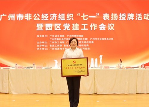 标杆引领，荣誉升级！集团党支部荣膺广州市非公有造经济组织“双强六好”标